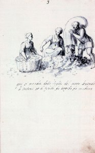 Treatise on Silk Culture and Manufacture